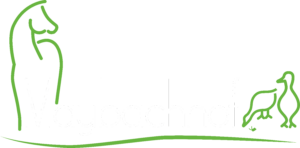 Logo Maybachhof Schrift weiß
